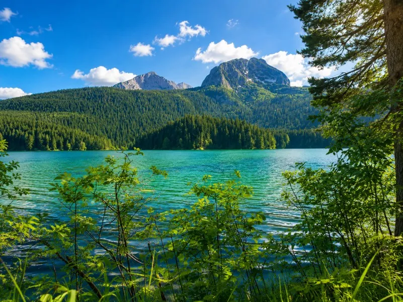 Pogled sa Crnog Jezera na planinski vrh- Međed Pogled sa Crnog Jezera na planinski vrh- Međed