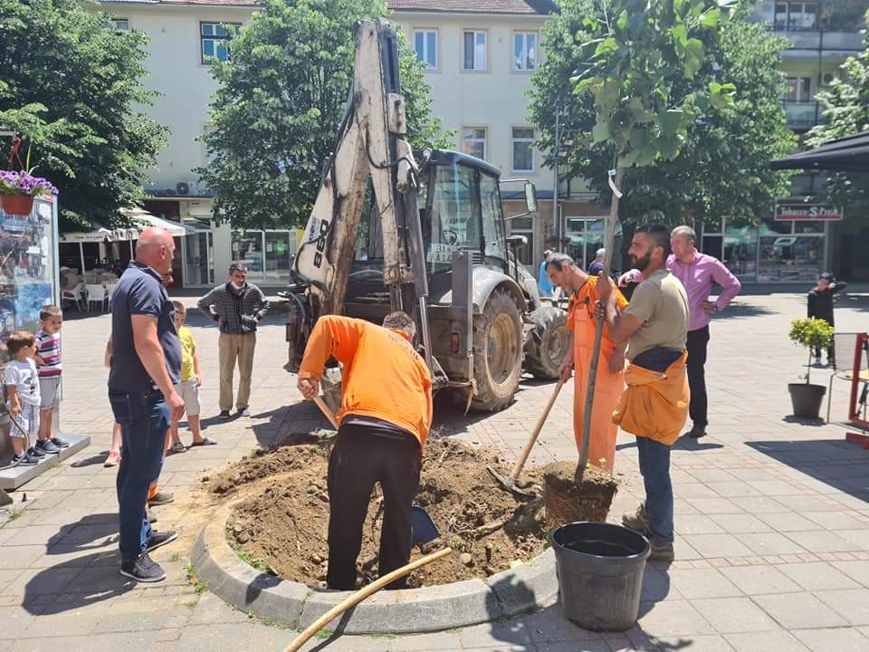 Општина Беране спроводи акцију ,,Озелењавање јавних површина“, чиме ће наш град бити богатији за 25 различитих садница на четири локације.