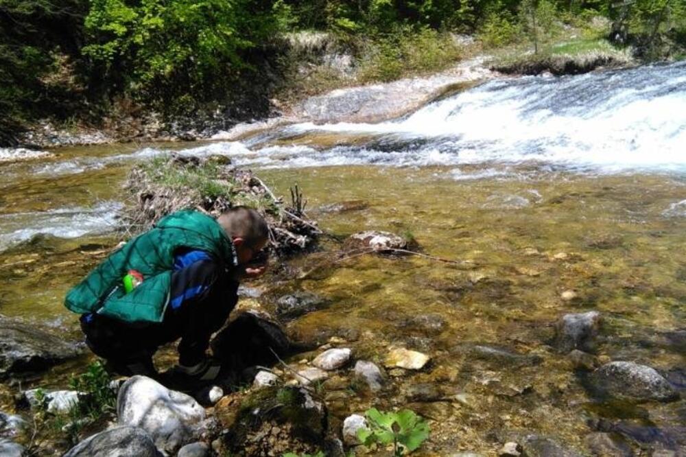 Заказано прво суђење због малих електрана: Ђукановићев брат први тужио државу