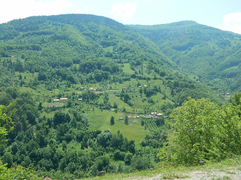 ШУМУ РАЦИОНАЛНО СЈЕЋИ, А НЕОДГОВОРНОСТ САСЈЕЋИ