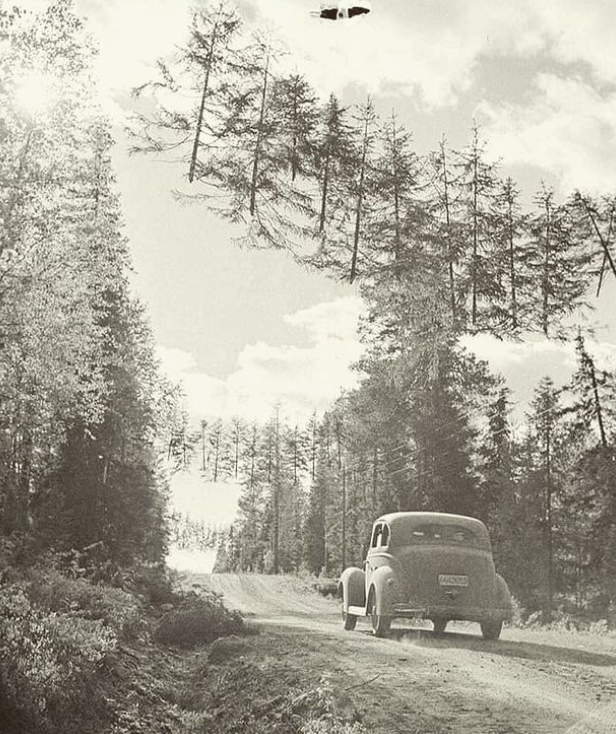Финска камуфлажа