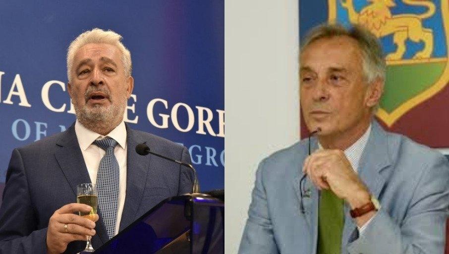Лекић или Кривокапић, дилема Демократа