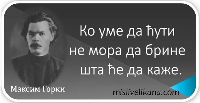 МИСАО ДАНА