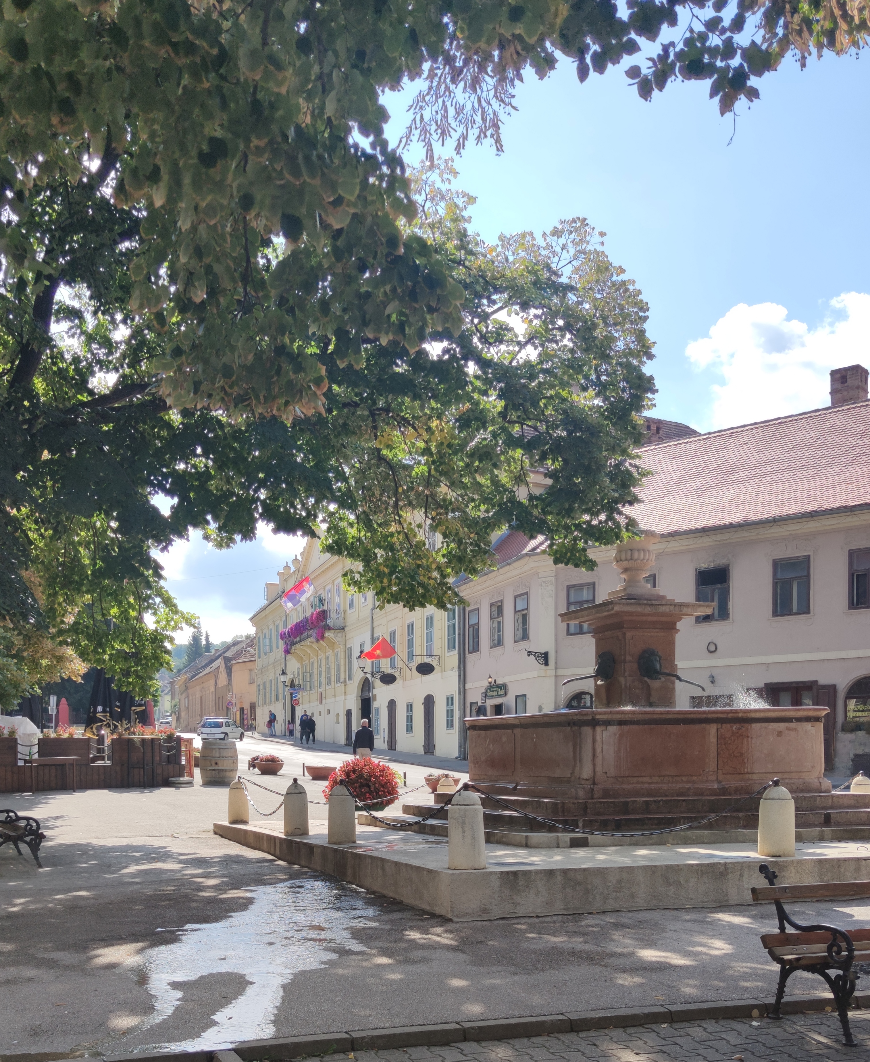 Невенка Ћировић именована за конзулку у Србији