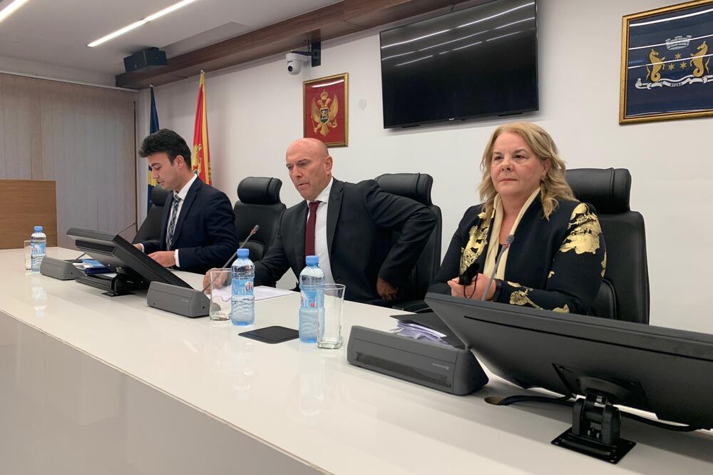 Царевић: Није им пошла за руком политичка опструкција