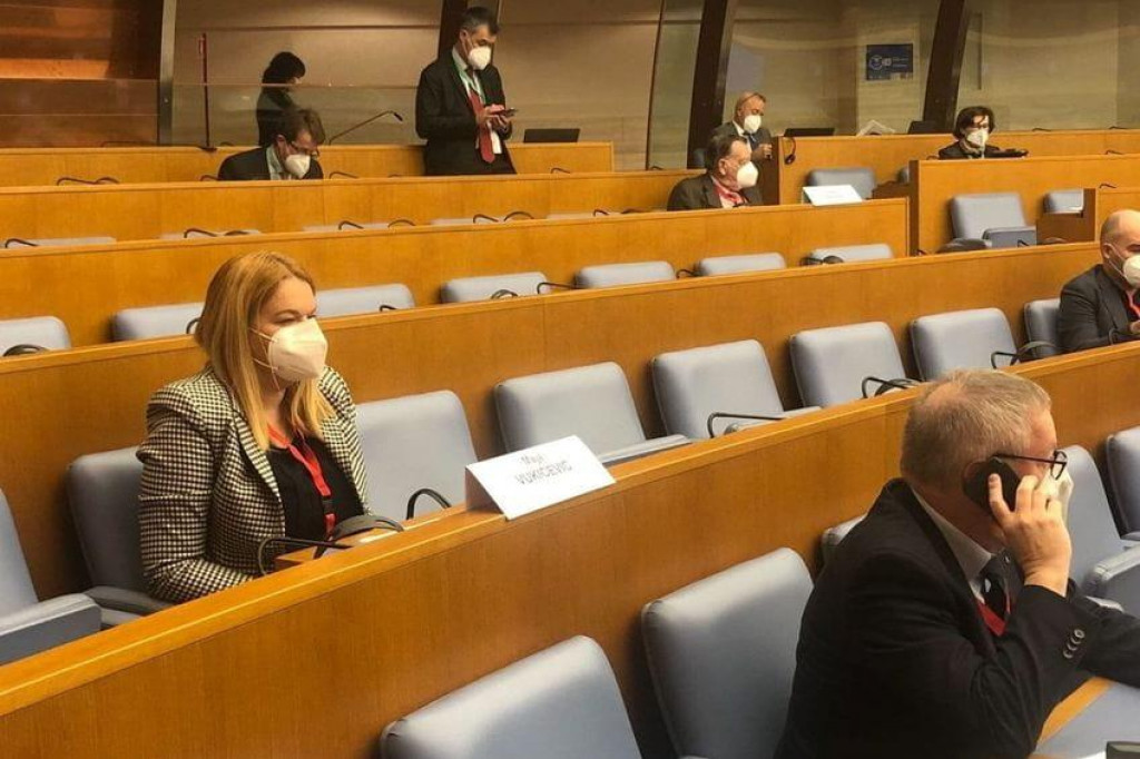 Вукићевић учествовала на сједници Сталног комитета ПССЕ