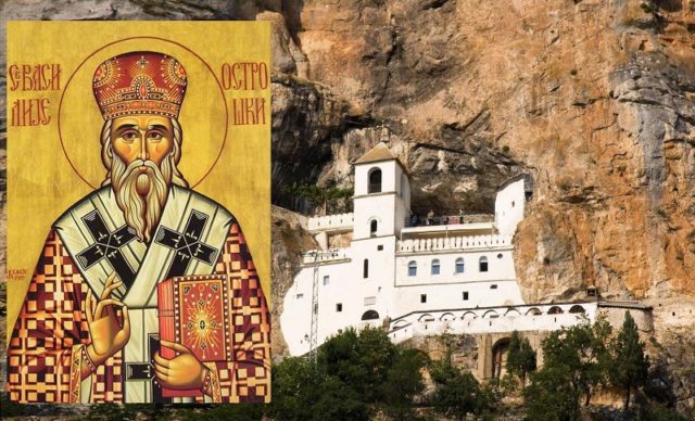Похвала рода нашег: На данашњи дан рођен је Свети Василије Острошки