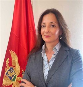 Управа прихода и царина: Репрограм за таксисте и покушај умањења јавног дуга