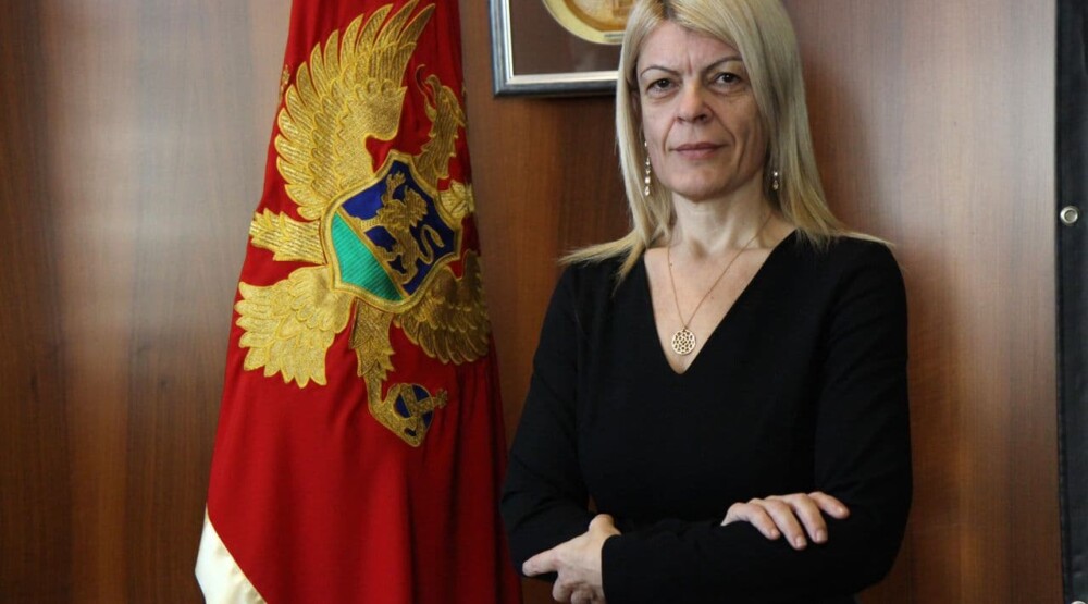 Глупост дана; Дамјановић(ДПС): Држава се гради репутацијом, знањем, инфраструктуром и визијом, не улицом и примитивизмом