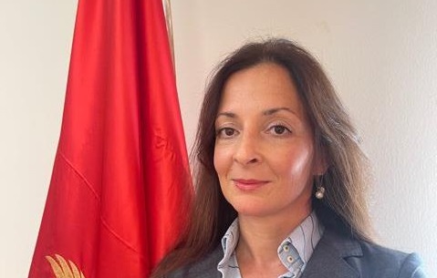 Петричевић: Контејнери са кокаином су пропуштени до магацина