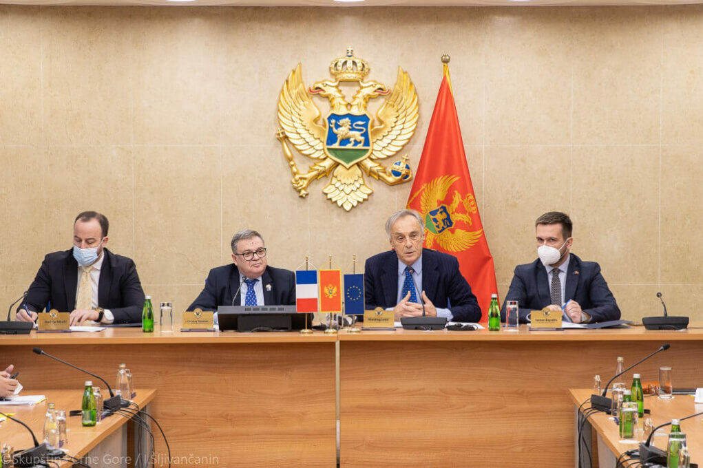 Одбор за међународне односе и исељенике: Постоји консензус када је у питању приступање Црне Горе ЕУ