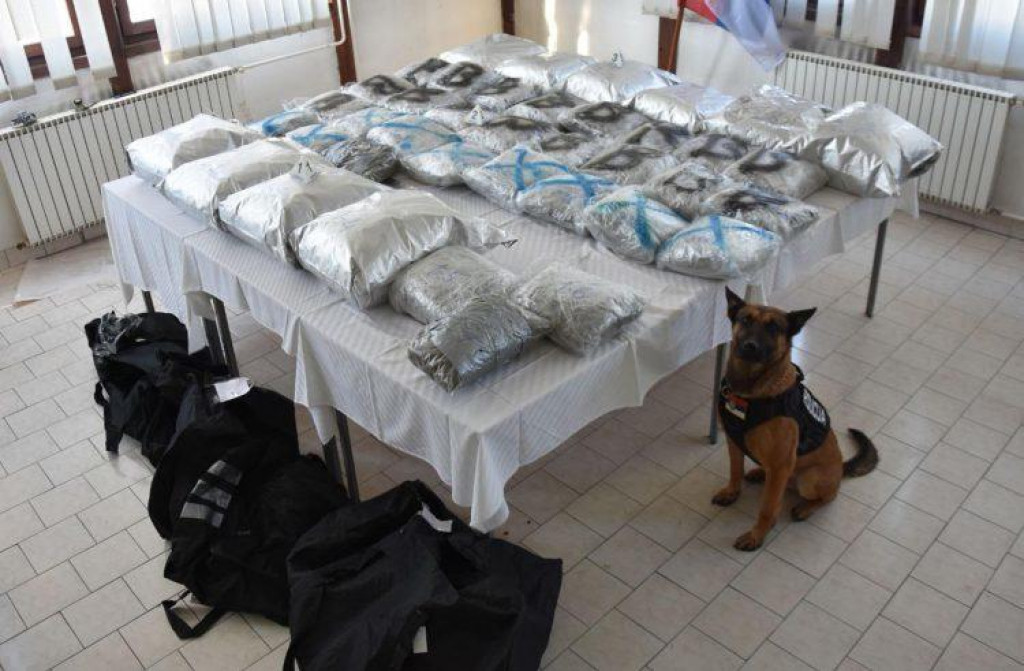 Нови Пазар: Заплијењено 63 килограма марихуане, међу ухапшенима и два држављана Црне Горе