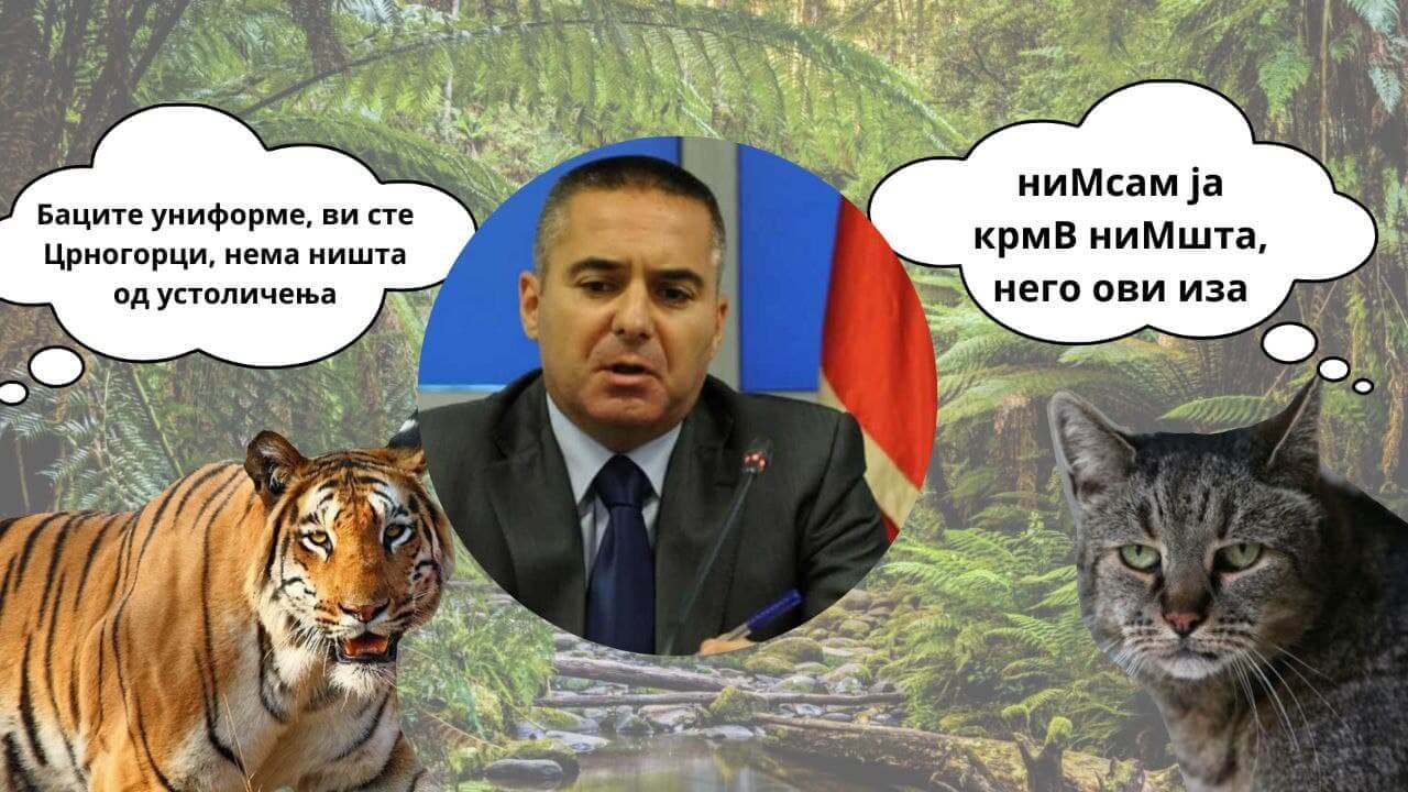 Од „белведерског тигра“ до „мале маце“; Вељовић: Нисам ја крив, него они иза мене