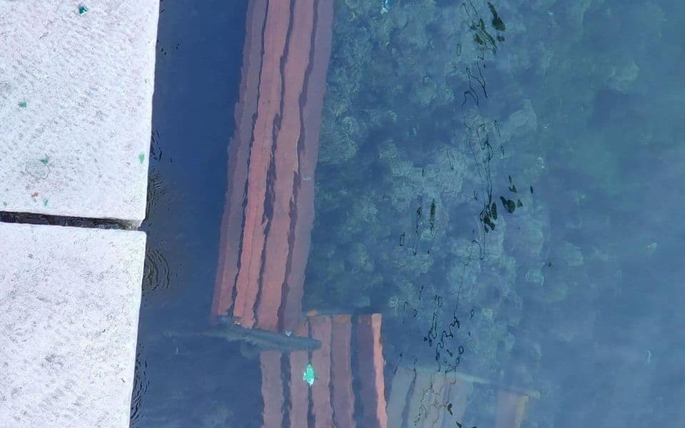 Вандализам у Котору: Клупе завршиле у мору