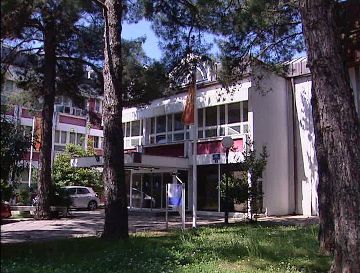 Ко је све конкурисао за директора Управе прихода и царина