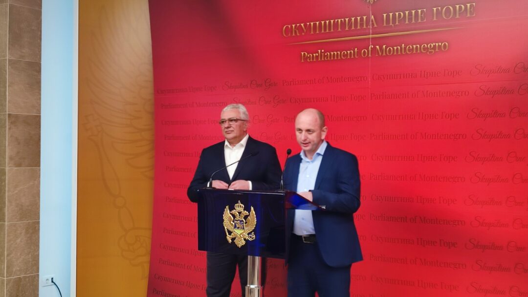(ВИДЕО) Кнежевић и Мандић: Катнић, Чађеновић и Пажин треба да су на оптуженичкој клупи