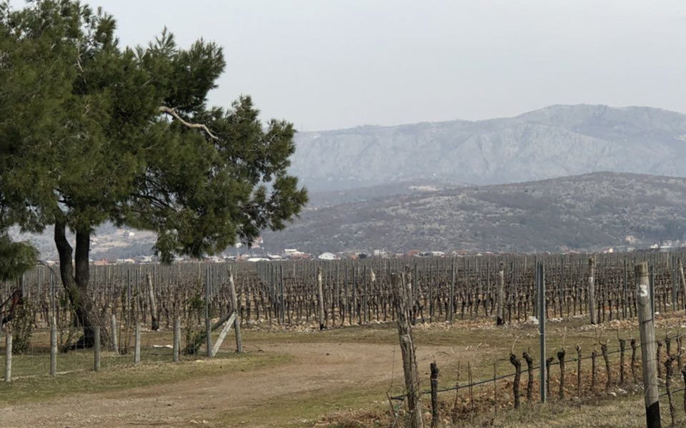 "Плантаже" продају земљиште у Толошима