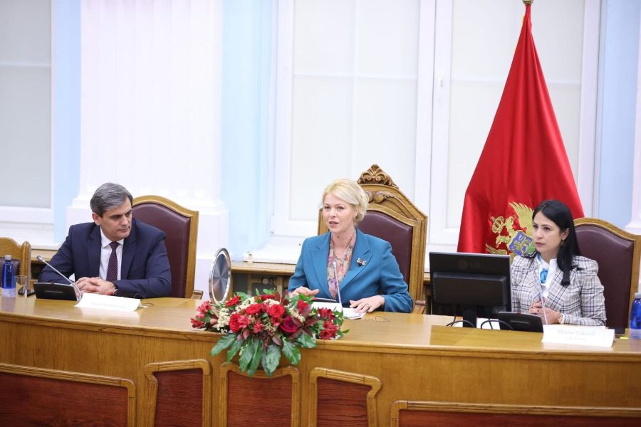 ЂУРОВИЋ САЗВАЛА СЈЕДНИЦУ