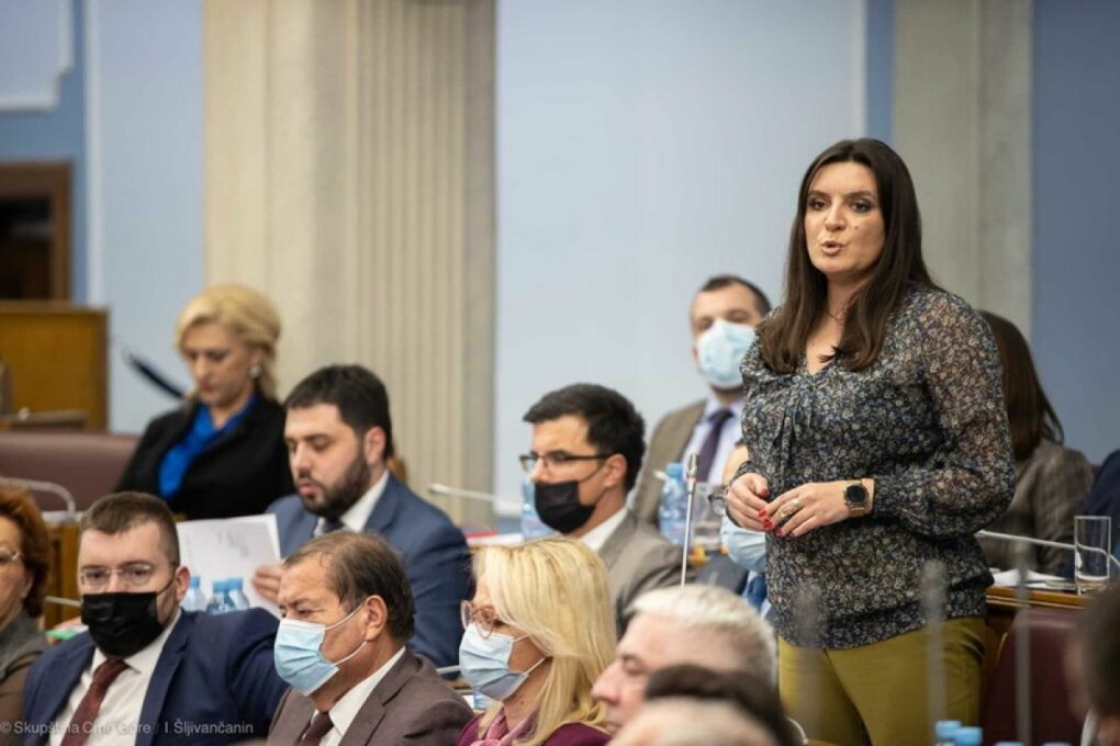 Paunović o nacrtu akta o Skupštini: Posao nije završen zbog nestabilne političke situacije