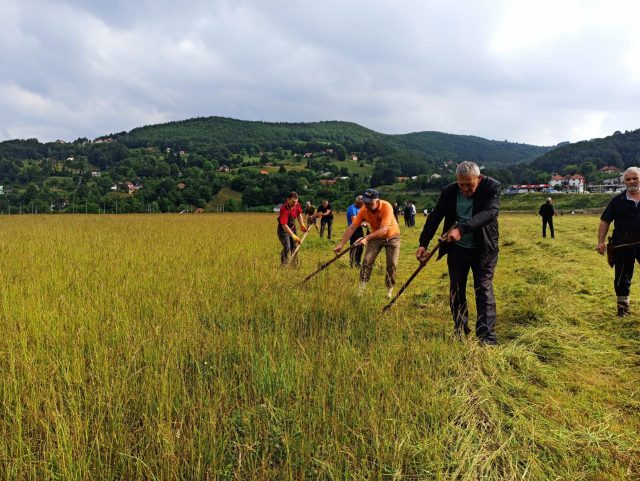 Одржана Манифестација „Мојковачки откос“; Делић: Да се сваке наредне године што даље чују звуци мојковачке косе
