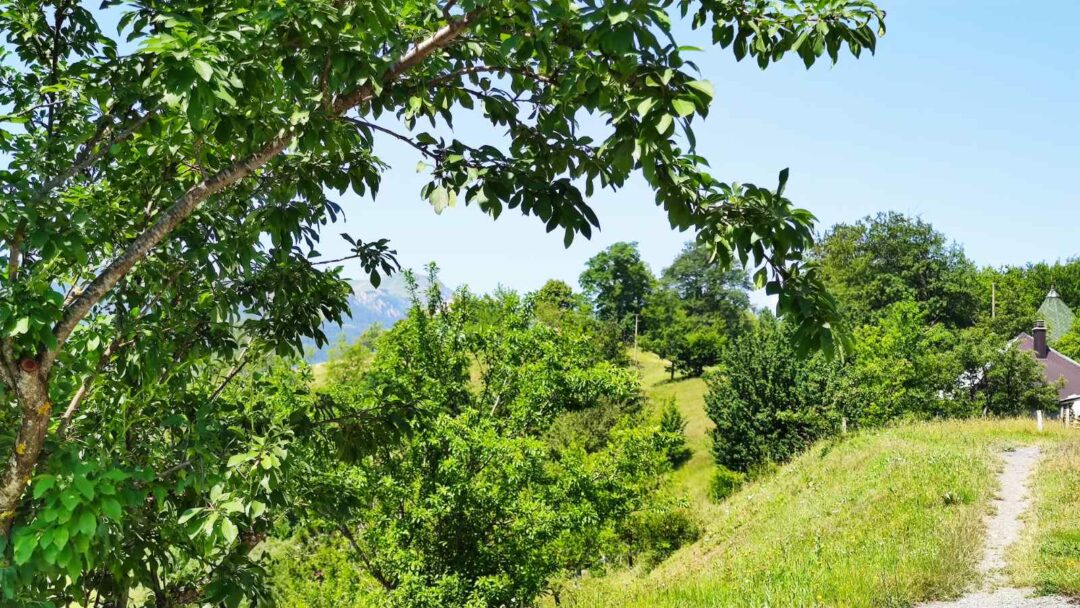 I sjutra sunčano i toplo, do 26 stepeni