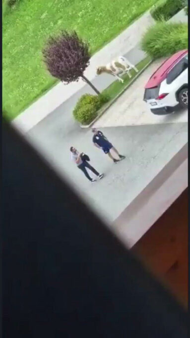 (ВИДЕО) Сукоб тренера и спортског директора Торина
