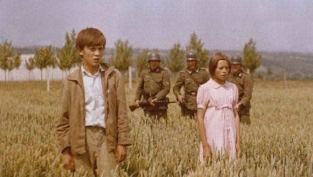 У Јапану ће адаптирати филмско остварење према чувеној поеми Десанке Максимовић
