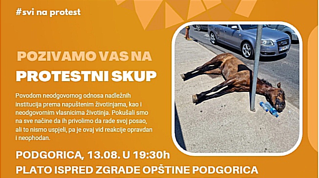 Протестни скуп љубитеља животиња 13. августа у Подгорица