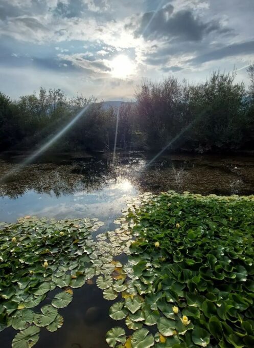 Фотографија дана
