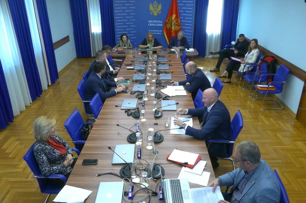 Због недоласка Ђукановића Законодавни одбор одложио расправу