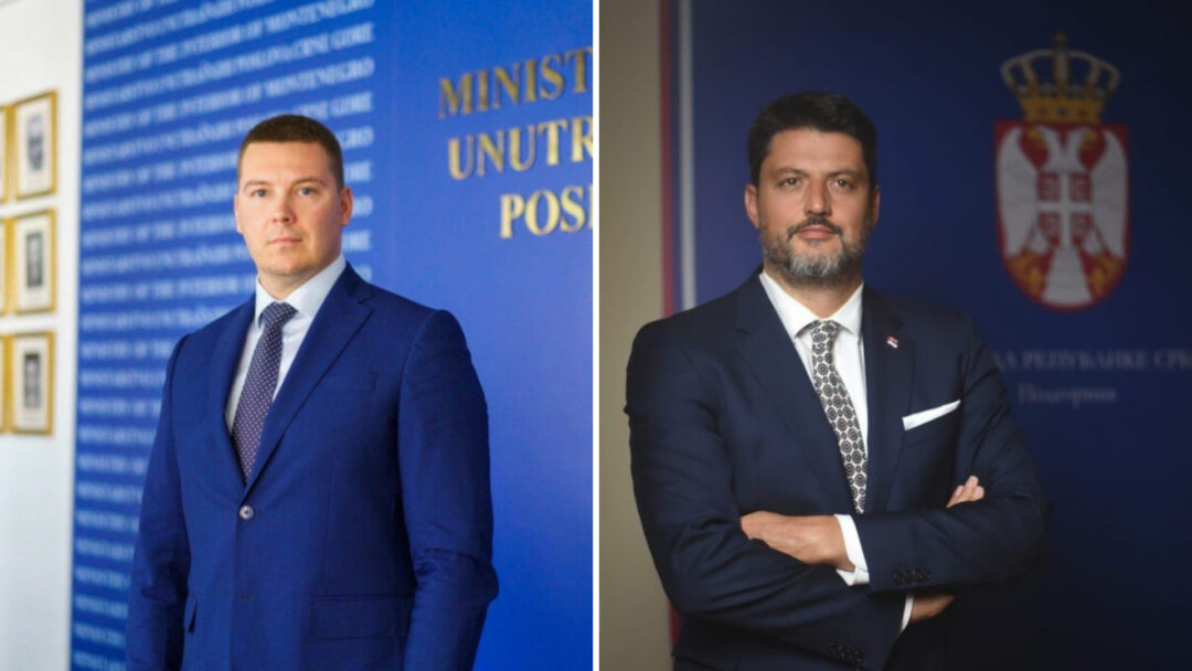 Аџић потписао одлуку о забрани уласка Владимира Божовића у Црну Гору