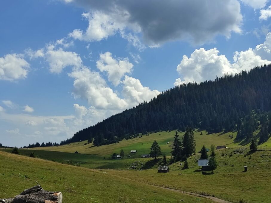 Фотографија дана