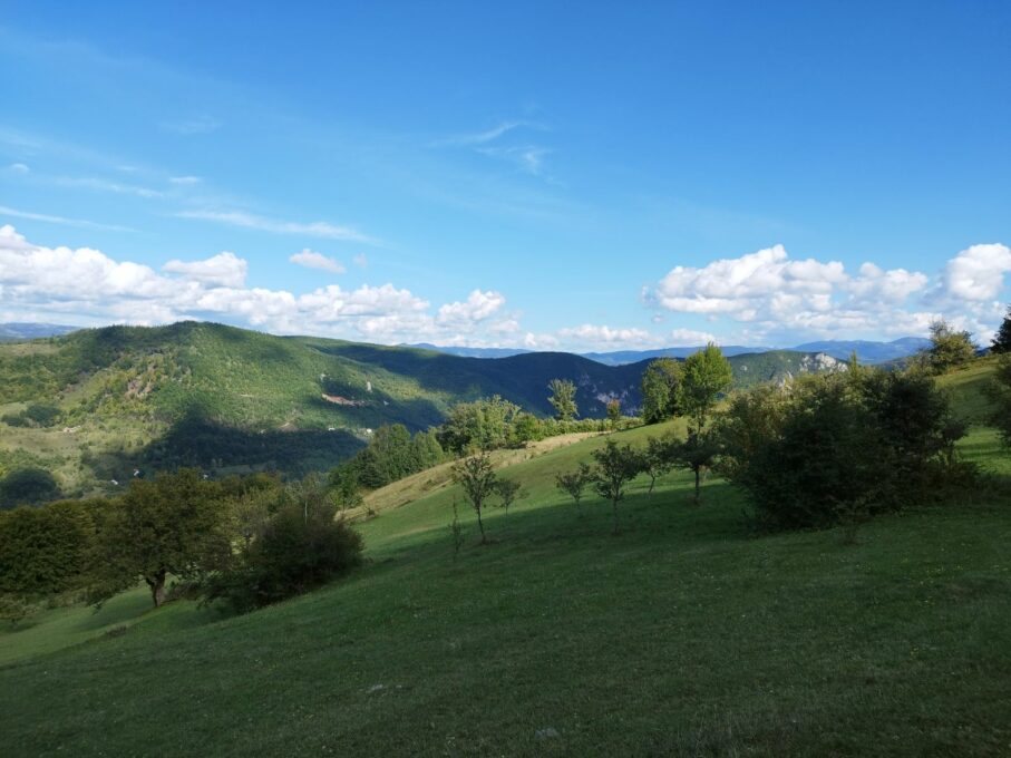 Фотографија дана