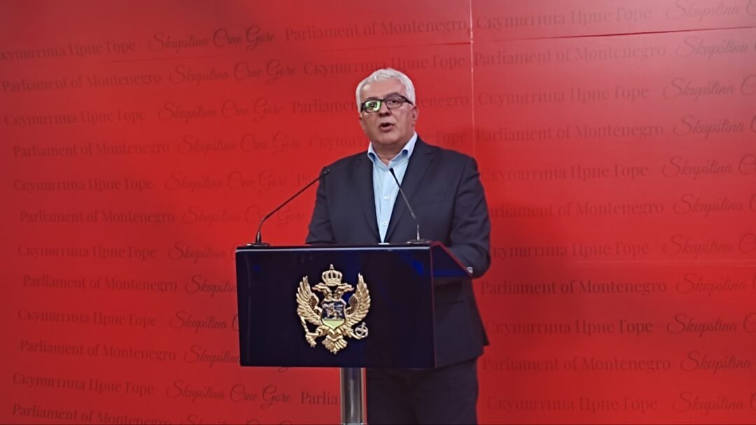Mandić: Živković prekršio izbornu tišinu, potencijalno čini krivično djelo lažno prijavljivanje