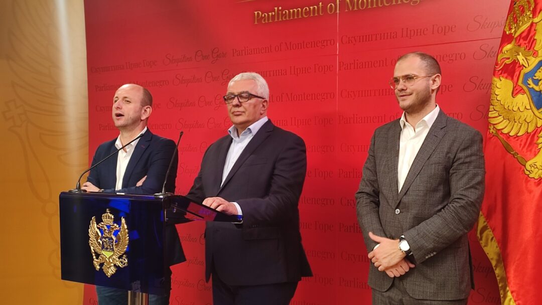 Мандић: ДФ спреман на максимална попуштања