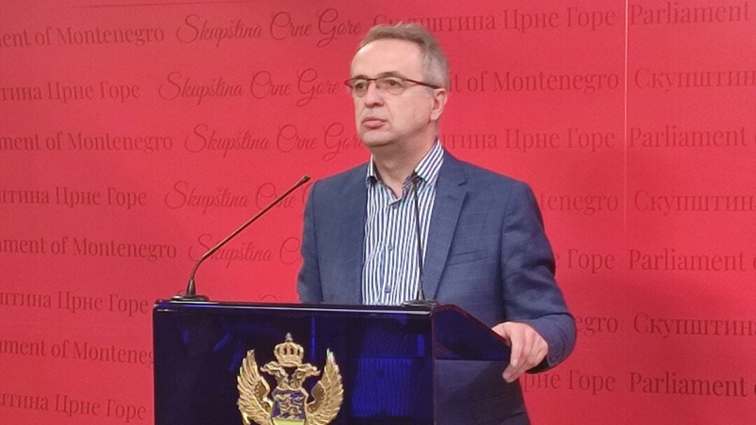DANILOVIĆ: Srpski jezik je stariji od naših država i na njemu su upisane i zapisane sve istorijske istine