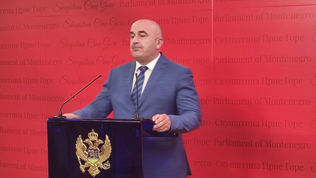 JOKOVIĆ: O prijemu Kosova u Savjet Evrope nije se odlučivalo na sjednici Vlade