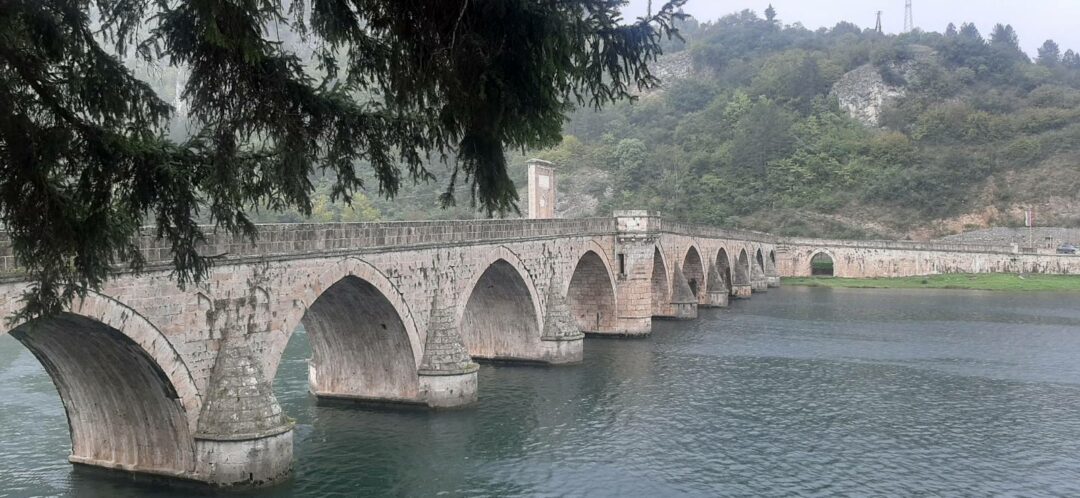 Фотографија дана
