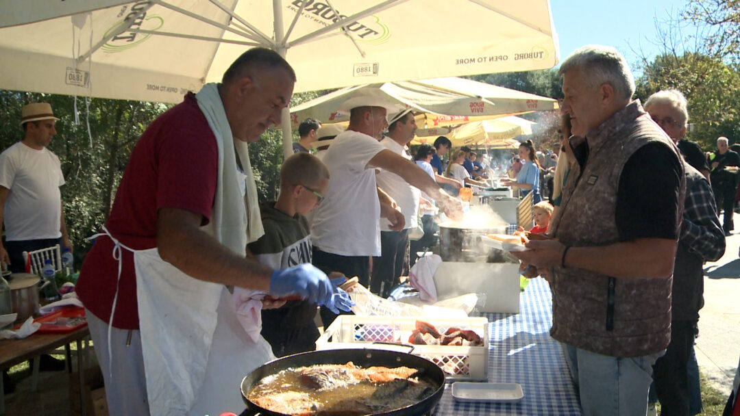 Plavnicu ,,preplavili" ljubitelji ribe, kolača i narodne muzike