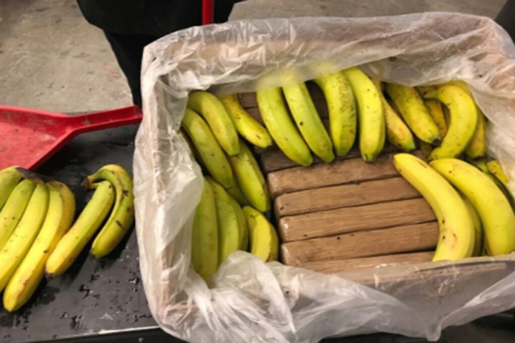 Hrvatska: Radnici marketa pronašli 30 kilograma kokaina u paketima banana