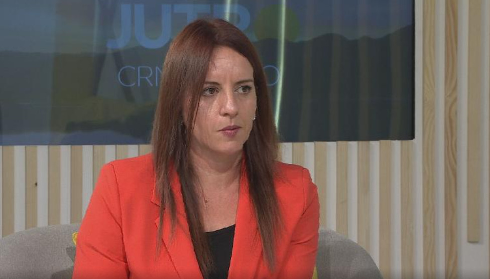 Radulović: Uzeti račun kao dokaz da je pelet skuplje plaćen