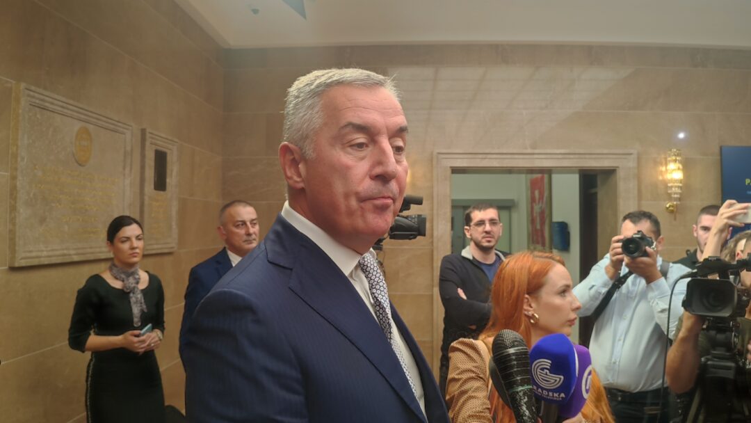 ĐUKANOVIĆ: Teror kojem je izložen ukrajinski narod mora biti zaustavljen odmah