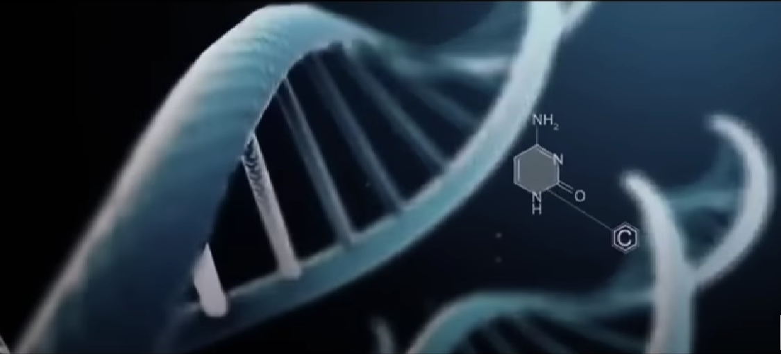 VIDEO - GUGLOV INŽENJER: Ljudi će dostići besmrtnost do 2030. godine