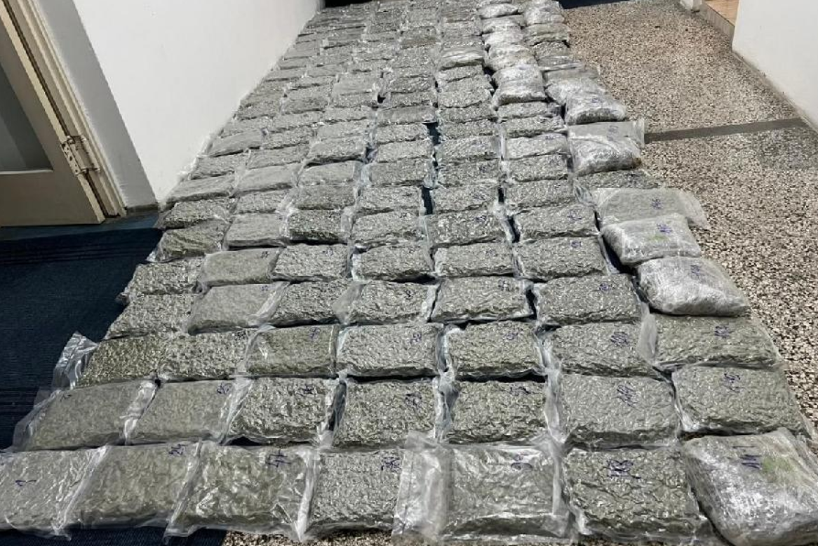 Zaplijenjeno skoro 100 kilograma skanka