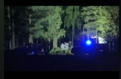 ŽRTVE SU MIRNO SJEDJELE NA KLUPI KADA JE POČEO KRVAVI PIR Detalji zločina iz Mladenovca, meštani u šoku i očaju