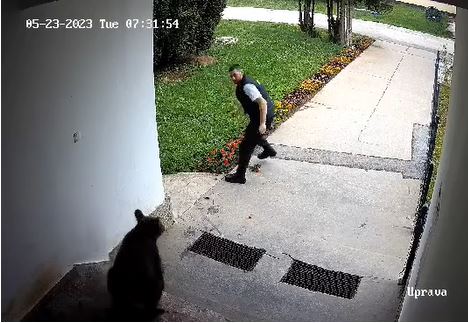 RADNIKA OBEZBEĐENJA NAPAO MEDVJED Životinja upala u krug fabrike jer su je jurili psi (VIDEO)