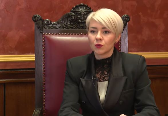 Božović: "Na putu pomirenja je potrebno vratiti slobodarsku trobojku kao vjekovni simbol Crne Gore"