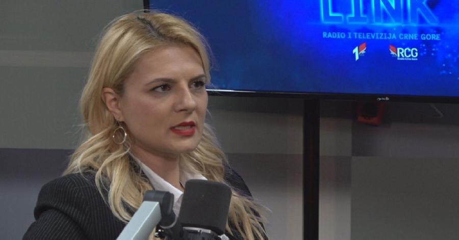 JELENA NEDOVIĆ: Ibrahimović je uhljeb, narod nema koristi od njegove politike