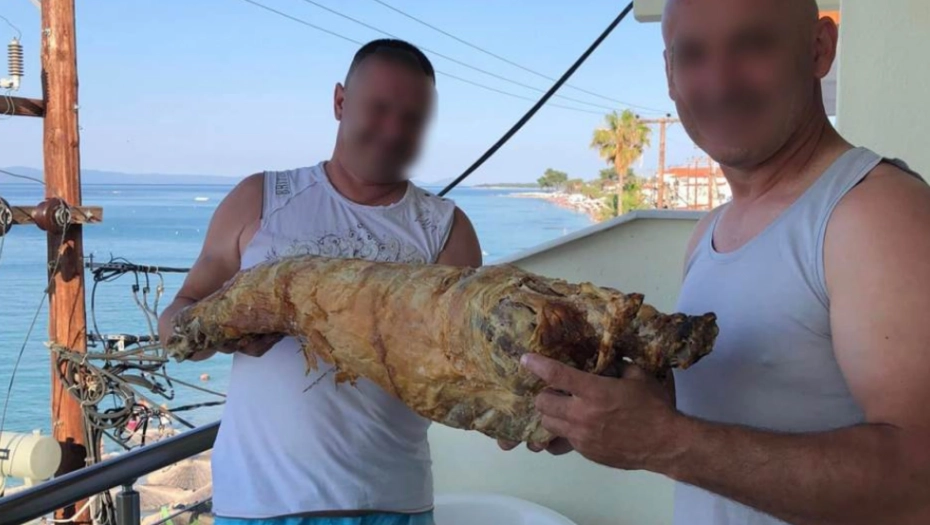 Paradajz turisti odlaze u zaborav, na scenu stupa JAGNJEĆA BRIGADA, pljušte komentari (FOTO)