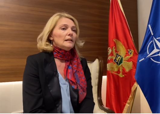 INJAC: Priča o dvije struje unutar Pokreta Evropa sad nije realna